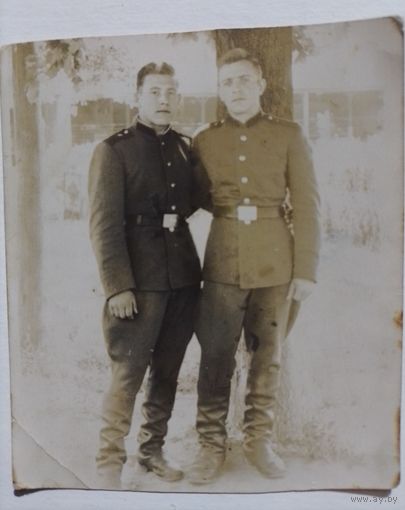 В коллекцию