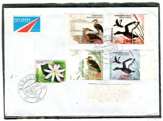 Индонезия. Конверт п.п. Фауна. Птицы. Гашение Бандунг 2005