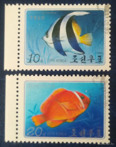 КНДР 1986 рыбы .