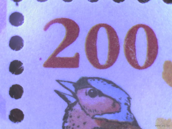 Стандарт 2006. 200 р. Ошибка печати (_278)