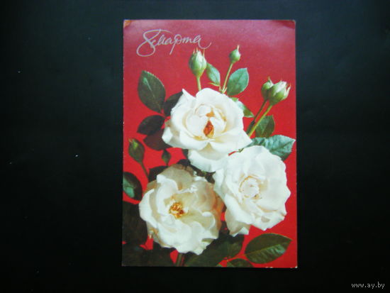 Открытка 1990г. из СССР.