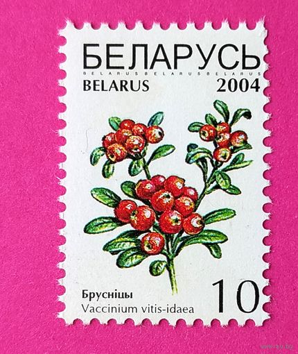 Беларусь. Стандарт. ( 1 марка ) 2004 года. 4-6.