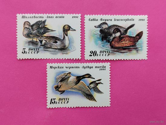 СССР. Утки. ( 3 марки ) 1991 года. 4-17.