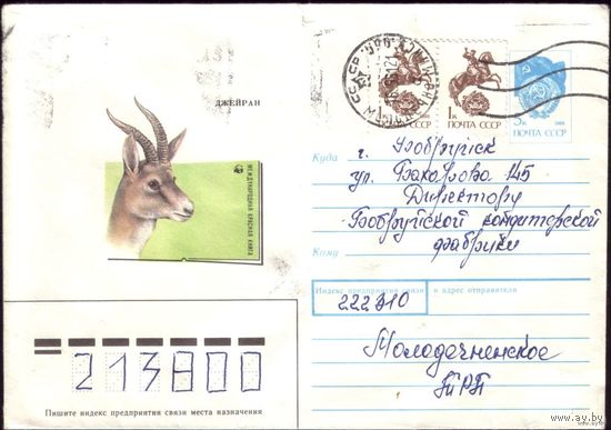 1990 год ХМК А.Исаков Джейран 90-331