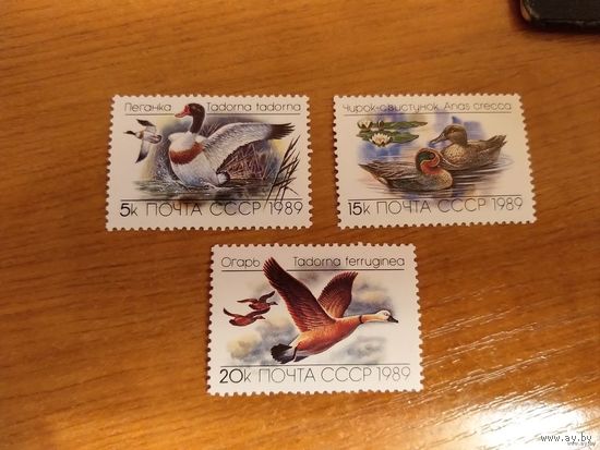1989 СССР Загорский 6017-6019 чистая полная MNH** фауна птицы (c-12)