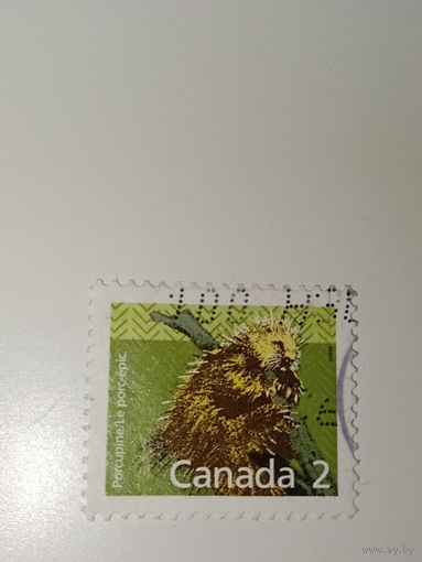 Канада 1988. Канадские млекопитающие. Североамериканский дикобраз