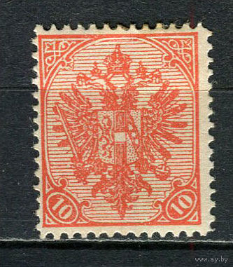 Босния и Герцеговина (Австро-венгерская администрация) - 1900 - Герб 10H - [Mi.15A] - 1 марка. MH.  (Лот 28HS)-TG3P11