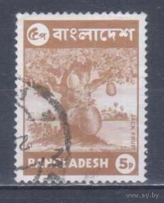 [905] Бангладеш 1973. Флора.Деревья.Плоды.Джекфрут. Гашеная марка.