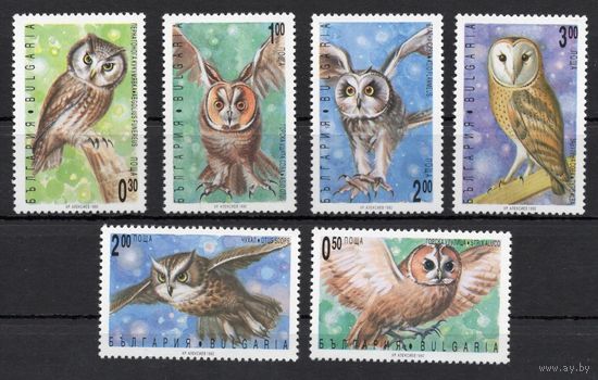 Болгария 1992. Птицы совы 6 марок (4032)