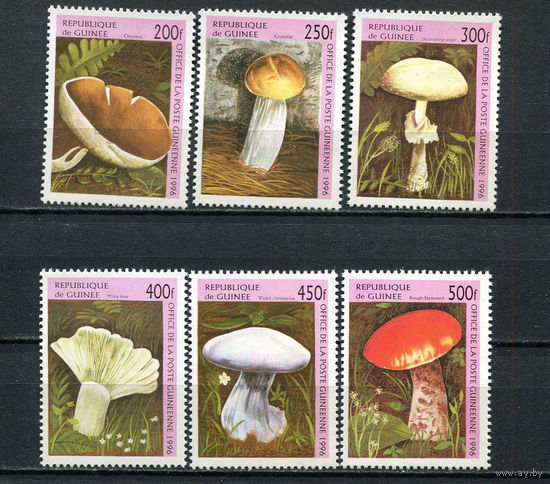 Гвинея - 1996 - Грибы - [Mi. 1610-1615] - полная серия - 6 марок. MNH.  (Лот 74HA)-T4P46