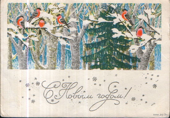 Подписанная открытка 1968г. "С Новым годом! Снегири" худ. Н. Круглов