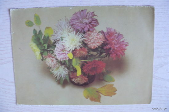 Савалов Е., Букет с астрами; 1986, двойная, подписана, увеличенный формат.