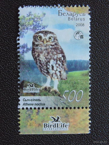 Беларусь 2008 год.