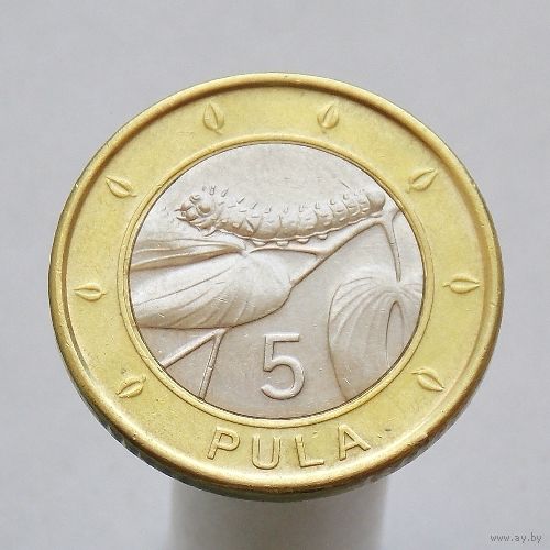 Ботсвана 5 пула 2013