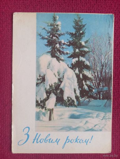 С Новым Годом! Градова 1964 г.