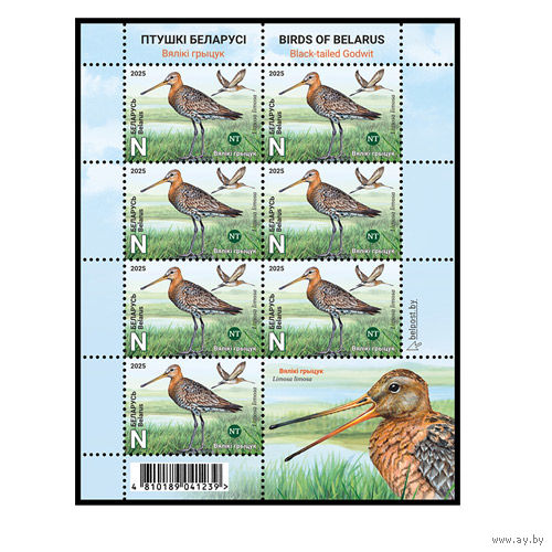 2025г Беларусь MNH  Малый лист "Птицы Беларуси. Большой веретенник"