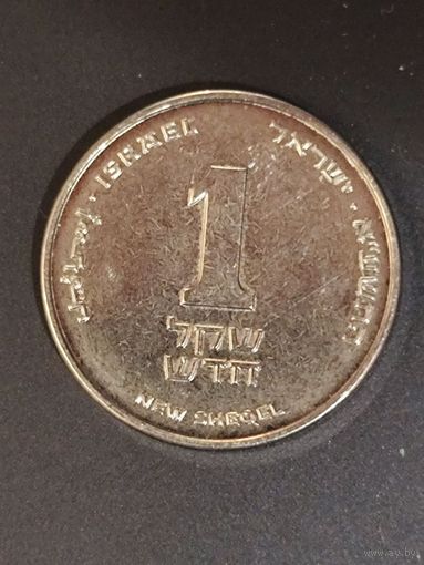 Израиль 1 новый шекель 2011