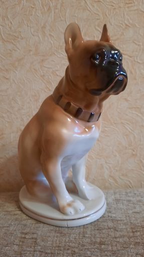 Статуэтка собаки фарфоровая СССР "Боксер" ЛФЗ со сколом
