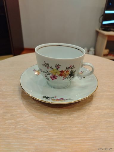 Чайная пара. ГДР. Kolditz. 70-ее гг. (3)