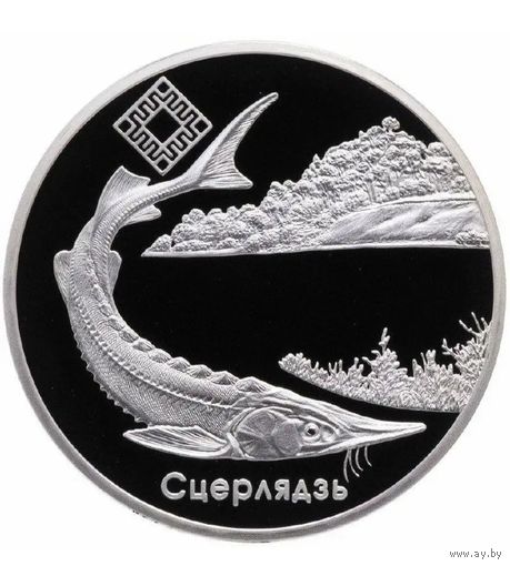 Памятная монета 1 рубль Стерлядь. Днепро-Сожский заказник