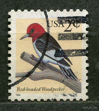 Красноголовый дятел. США. 1996. Полная серия 1 марка