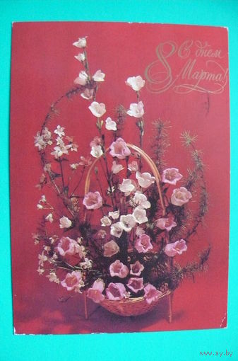 Баранников В.(фото), Егорова З.(художник), С днем 8 Марта! 1981, подписана.