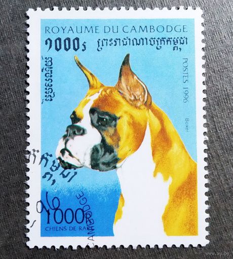 Марка Камбоджа 1996 год Собака