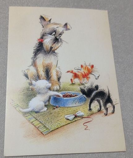 Посткроссинг. Открытка Пёс и котята, худ.Юлия Корякина (10х15). Прошла почту. Художественная марка, чёткий штемпель.