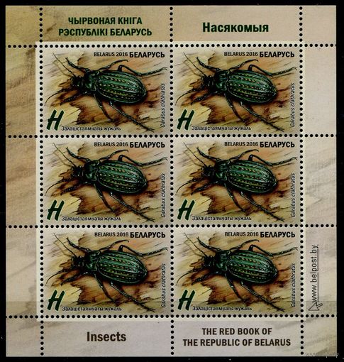 Беларусь 2016 #1112. Малый лист Насекомые. Золотистоямчатая жужелица (6H)
