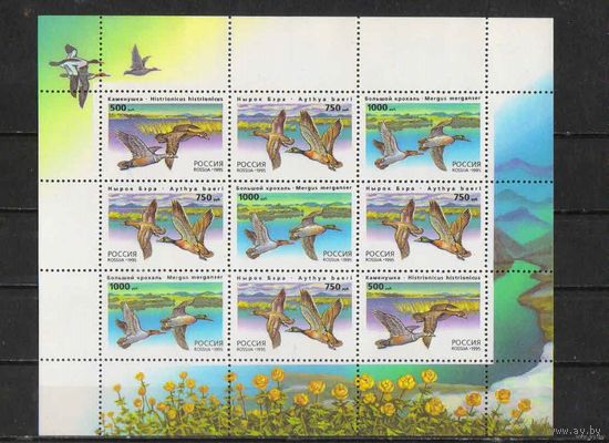 Россия РФ 1995 Утки России Каменушка Нырок Большой крохаль MNH