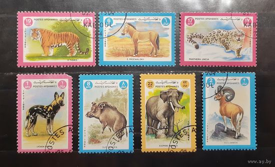 Афганистан. 1984 год. Фауна (568)