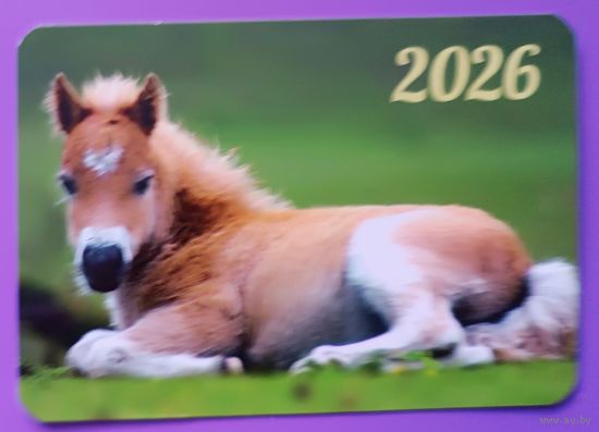 Лошадь. Календарик, глянец, 2026. Траско