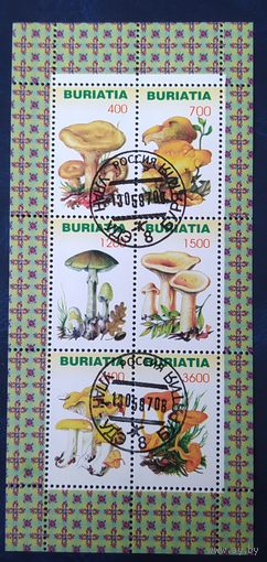 BURIATIA 1997 Грибы