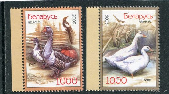 Беларусь 2009. Домашние птицы