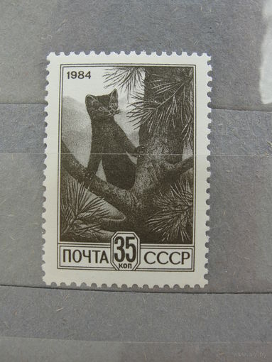 Чистые почтовые марки СССР.