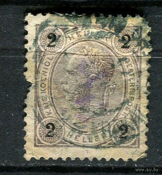 Австро-Венгрия - 1901/1903 - Император Франц Иосиф - 2H - (есть тонкое место) - [Mi.85] - 1 марка. Гашеная.  (Лот 11FN)-T25P23