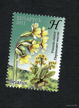 Беларусь. 2011. Цветы. Серия