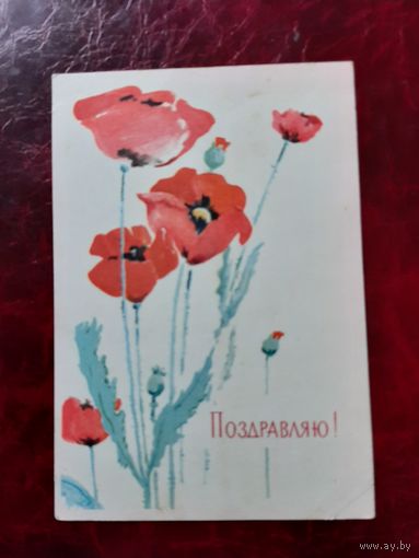 Поздравляю (маки) худ. Г. Дерягин 1963 год
