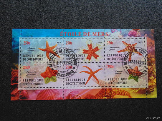 Кот- д Ивуар  2013 г. Морская фауна.
