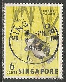 Сингапур. Рыбы. Бризгун полосатый. 1962г. Mi#57.