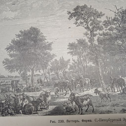 Поттеръ. Ферма.          Гравюра энциклопедическая 19век. 28х21cм. РАСПРОДАЖА КОЛЛЕКЦИИ.