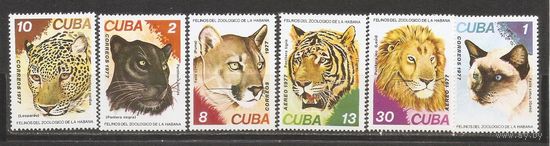 ФФ1 Куба 1977 Семейство кошачьих