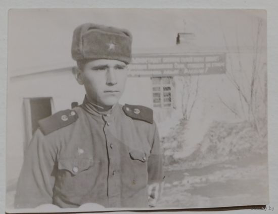 Фото в коллекцию