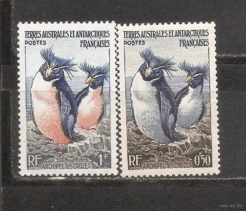 ФФ2 ТААФ 1956 Пингвины