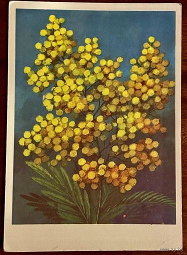 Открытка чистая. 10х15 см. Художник Ю. Ряховский 1976г