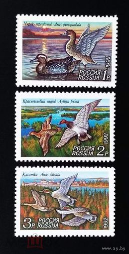 Россия 1992 Фауна Утки **