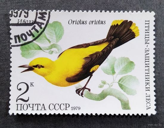 Марка СССР 1979 год Птицы
