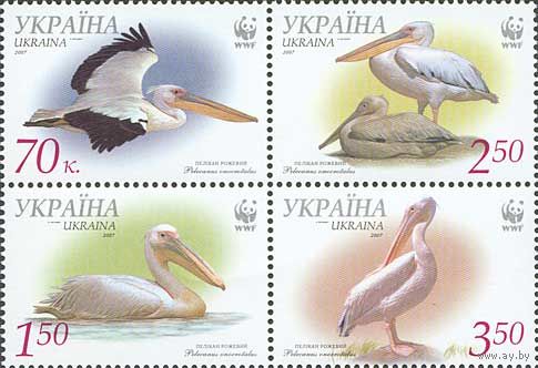 Украина 2007. WWF пеликаны 4марки квартблок (454)