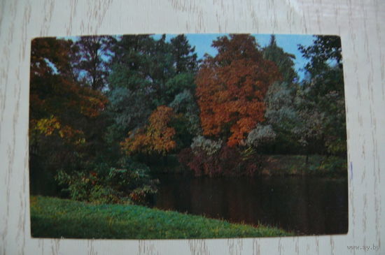 Календарик, 1982, Природа.
