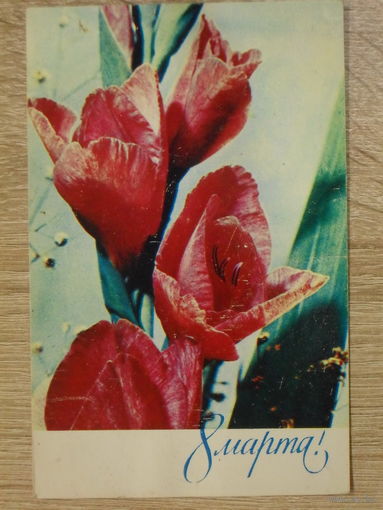 ПОДПИСАННАЯ ОТКРЫТКА СССР. "8 МАРТА" фото. Л. РАСКИНА. 1973 год.